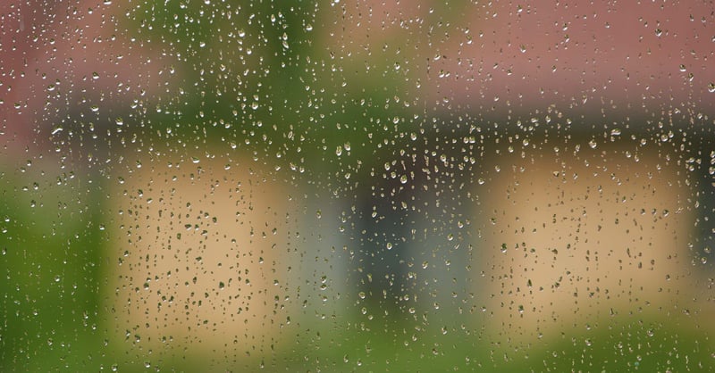 Wet droplets forming on a window