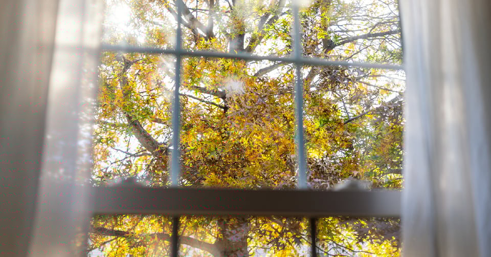 Weatherize Your Windows: The Fall Maintenance Checklist