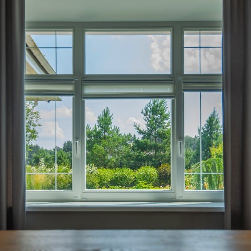 A home window overlooking a yard.