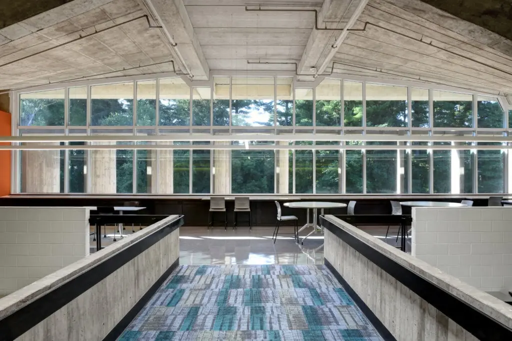 Commercial glass windows